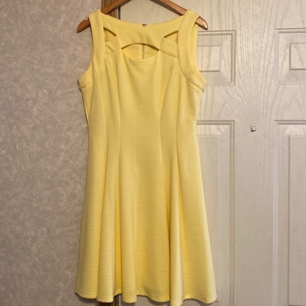 Gabby‎ Skye Sleeveless Dress